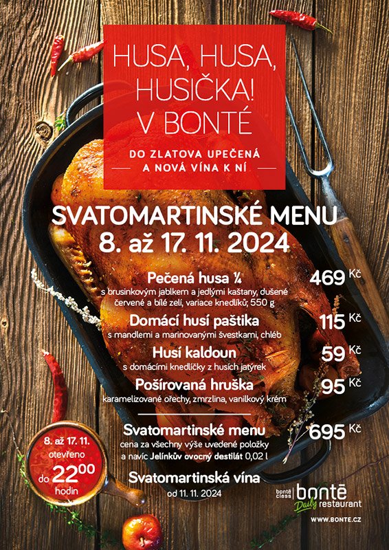 Svatomartinská husa 